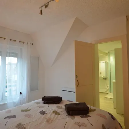 Апартаменты Ecm Continental Виттель